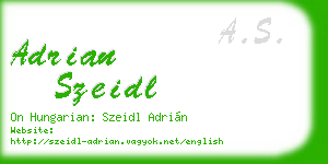 adrian szeidl business card